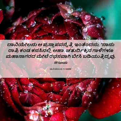Picture 06 - ದಾನಿಯೇಲನು 7:2 KANIRV - ದಾನಿಯೇಲನು ಆ - Bible Verse Picture
