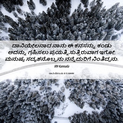 Picture 06 - ದಾನಿಯೇಲನು 8:15 KANIRV - ದಾನಿಯೇಲನಾದ ನಾನು ಈ - Bible Verse Picture