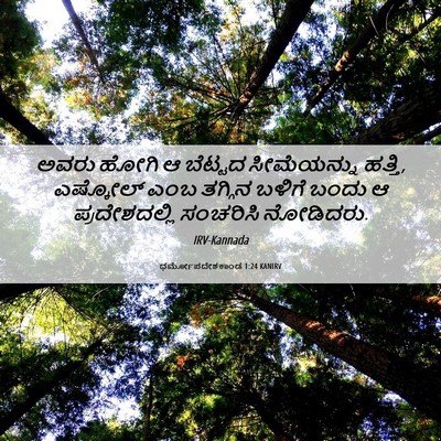 Picture 06 - ಧರ್ಮೋಪದೇಶಕಾಂಡ 1:24 KANIRV - ಅವರು ಹೋಗಿ ಆ ಬೆಟ್ಟದ - Bible Verse Picture