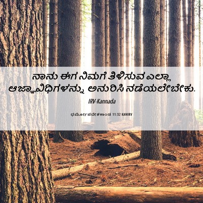 Picture 06 - ಧರ್ಮೋಪದೇಶಕಾಂಡ 11:32 KANIRV - ನಾನು ಈಗ ನಿಮಗೆ - Bible Verse Picture