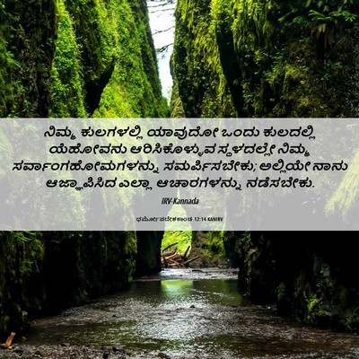 Picture 06 - ಧರ್ಮೋಪದೇಶಕಾಂಡ 12:14 KANIRV - ನಿಮ್ಮ ಕುಲಗಳಲ್ಲಿ - Bible Verse Picture