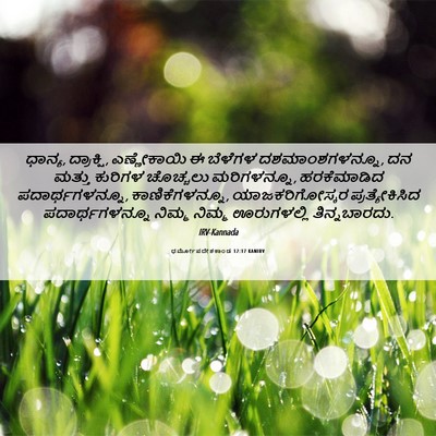 Picture 06 - ಧರ್ಮೋಪದೇಶಕಾಂಡ 12:17 KANIRV - ಧಾನ್ಯ, ದ್ರಾಕ್ಷಿ, - Bible Verse Picture