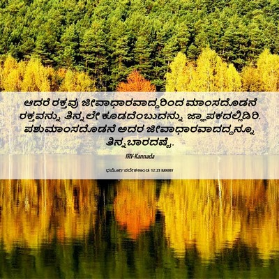 Picture 06 - ಧರ್ಮೋಪದೇಶಕಾಂಡ 12:23 KANIRV - ಆದರೆ ರಕ್ತವು - Bible Verse Picture