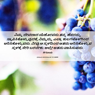 Picture 06 - ಧರ್ಮೋಪದೇಶಕಾಂಡ 12:5 KANIRV - ನಿಮ್ಮ ದೇವರಾದ - Bible Verse Picture