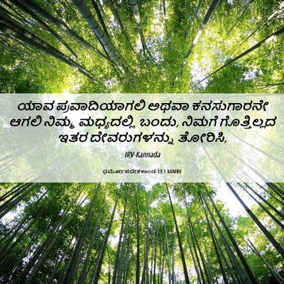 Picture 06 - ಧರ್ಮೋಪದೇಶಕಾಂಡ 13:1 KANIRV - ಯಾವ ಪ್ರವಾದಿಯಾಗಲಿ - Bible Verse Picture