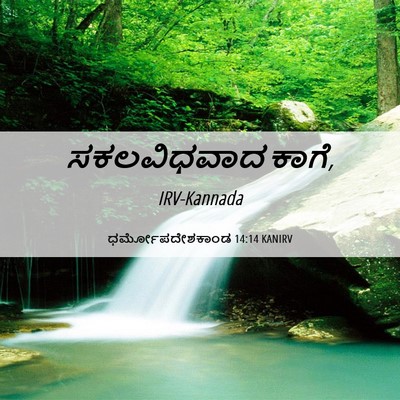 Picture 06 - ಧರ್ಮೋಪದೇಶಕಾಂಡ 14:14 KANIRV - ಸಕಲವಿಧವಾದ - Bible Verse Picture
