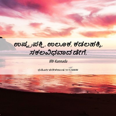 Picture 06 - ಧರ್ಮೋಪದೇಶಕಾಂಡ 14:15 KANIRV - ಉಷ್ಟ್ರಪಕ್ಷಿ, ಉಲೂಕ, - Bible Verse Picture