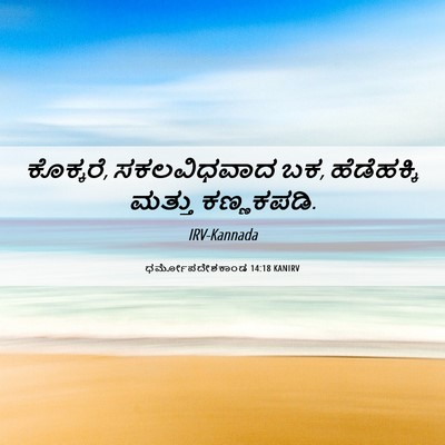 Picture 06 - ಧರ್ಮೋಪದೇಶಕಾಂಡ 14:18 KANIRV - ಕೊಕ್ಕರೆ, - Bible Verse Picture