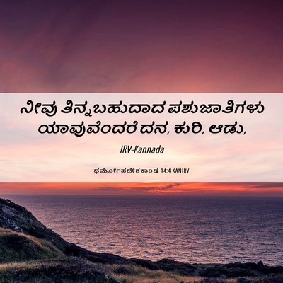 Picture 06 - ಧರ್ಮೋಪದೇಶಕಾಂಡ 14:4 KANIRV - ನೀವು ತಿನ್ನಬಹುದಾದ - Bible Verse Picture