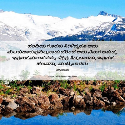 Picture 06 - ಧರ್ಮೋಪದೇಶಕಾಂಡ 14:8 KANIRV - ಹಂದಿಯ ಗೊರಸು - Bible Verse Picture
