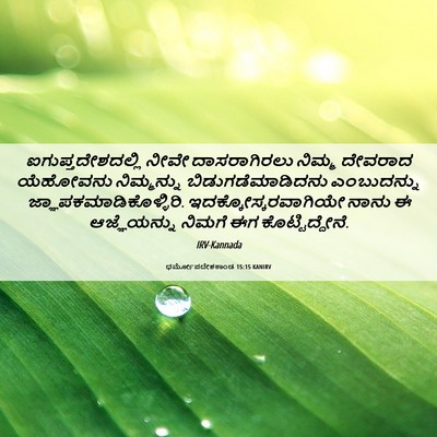 Picture 06 - ಧರ್ಮೋಪದೇಶಕಾಂಡ 15:15 KANIRV - ಐಗುಪ್ತದೇಶದಲ್ಲಿ - Bible Verse Picture