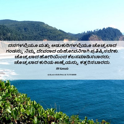Picture 06 - ಧರ್ಮೋಪದೇಶಕಾಂಡ 15:19 KANIRV - ದನಗಳಲ್ಲಿಯೂ ಮತ್ತು - Bible Verse Picture