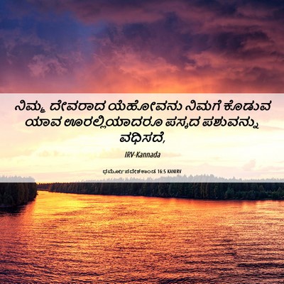 Picture 06 - ಧರ್ಮೋಪದೇಶಕಾಂಡ 16:5 KANIRV - ನಿಮ್ಮ ದೇವರಾದ - Bible Verse Picture