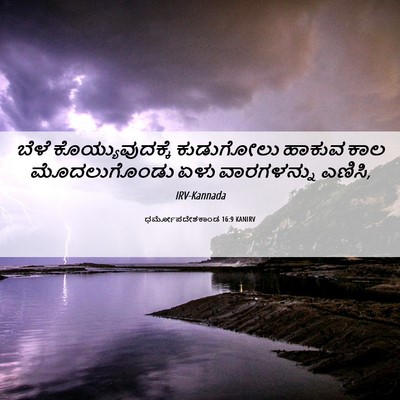 Picture 06 - ಧರ್ಮೋಪದೇಶಕಾಂಡ 16:9 KANIRV - ಬೆಳೆ - Bible Verse Picture