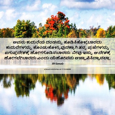 Picture 06 - ಧರ್ಮೋಪದೇಶಕಾಂಡ 17:16 KANIRV - ಅವನು ಕುದುರೆಯ - Bible Verse Picture