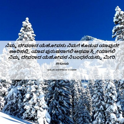 Picture 06 - ಧರ್ಮೋಪದೇಶಕಾಂಡ 17:2 KANIRV - ನಿಮ್ಮ ದೇವರಾದ - Bible Verse Picture