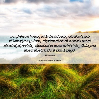 Picture 06 - ಧರ್ಮೋಪದೇಶಕಾಂಡ 18:12 KANIRV - ಇಂಥ ಕೆಲಸಗಳನ್ನು - Bible Verse Picture