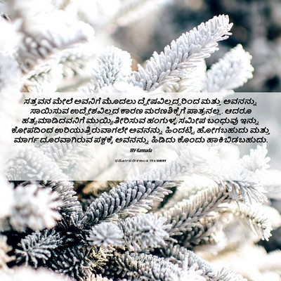 Picture 06 - ಧರ್ಮೋಪದೇಶಕಾಂಡ 19:6 KANIRV - ಸತ್ತವನ ಮೇಲೆ - Bible Verse Picture