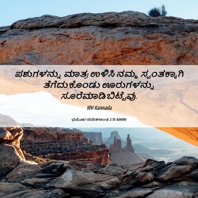 Picture 06 - ಧರ್ಮೋಪದೇಶಕಾಂಡ 2:35 KANIRV - ಪಶುಗಳನ್ನು ಮಾತ್ರ - Bible Verse Picture