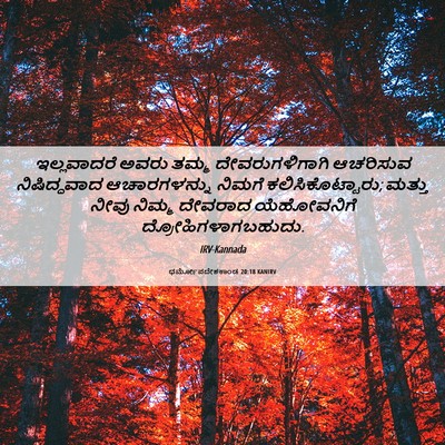 Picture 06 - ಧರ್ಮೋಪದೇಶಕಾಂಡ 20:18 KANIRV - ಇಲ್ಲವಾದರೆ ಅವರು - Bible Verse Picture