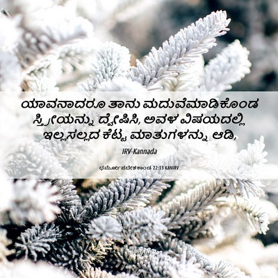 Picture 06 - ಧರ್ಮೋಪದೇಶಕಾಂಡ 22:13 KANIRV - ಯಾವನಾದರೂ ತಾನು - Bible Verse Picture