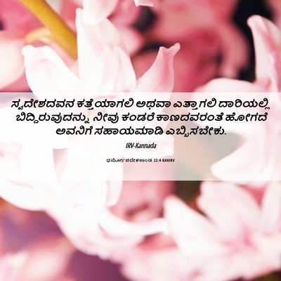Picture 06 - ಧರ್ಮೋಪದೇಶಕಾಂಡ 22:4 KANIRV - ಸ್ವದೇಶದವನ - Bible Verse Picture