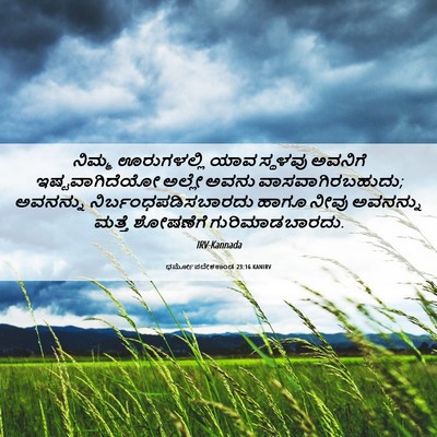 Picture 06 - ಧರ್ಮೋಪದೇಶಕಾಂಡ 23:16 KANIRV - ನಿಮ್ಮ ಊರುಗಳಲ್ಲಿ - Bible Verse Picture