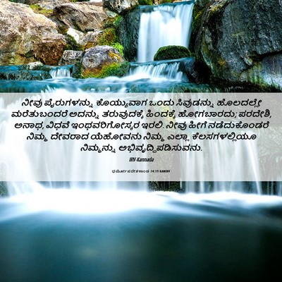 Picture 06 - ಧರ್ಮೋಪದೇಶಕಾಂಡ 24:19 KANIRV - ನೀವು ಪೈರುಗಳನ್ನು - Bible Verse Picture