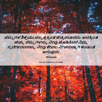 Picture 06 - ಧರ್ಮೋಪದೇಶಕಾಂಡ 25:3 KANIRV - ಪೆಟ್ಟುಗಳ ಶಿಕ್ಷೆಯು - Bible Verse Picture