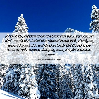 Picture 06 - ಧರ್ಮೋಪದೇಶಕಾಂಡ 28:1 KANIRV - ನೀವು ನಿಮ್ಮ ದೇವರಾದ - Bible Verse Picture