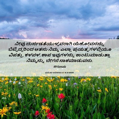 Picture 06 - ಧರ್ಮೋಪದೇಶಕಾಂಡ 28:20 KANIRV - ನೀವು - Bible Verse Picture