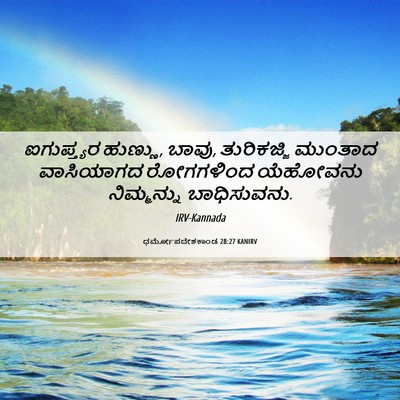 Picture 06 - ಧರ್ಮೋಪದೇಶಕಾಂಡ 28:27 KANIRV - ಐಗುಪ್ತ್ಯರ ಹುಣ್ಣು, - Bible Verse Picture