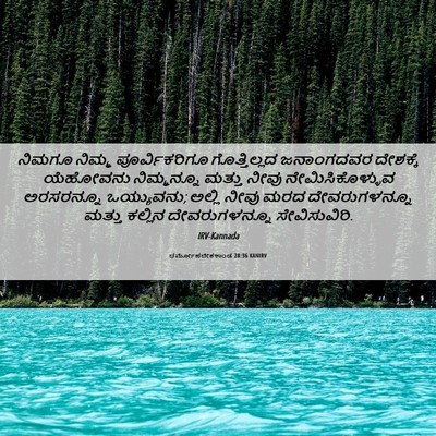 Picture 06 - ಧರ್ಮೋಪದೇಶಕಾಂಡ 28:36 KANIRV - ನಿಮಗೂ ನಿಮ್ಮ - Bible Verse Picture