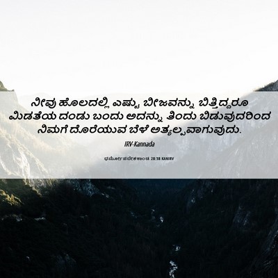 Picture 06 - ಧರ್ಮೋಪದೇಶಕಾಂಡ 28:38 KANIRV - ನೀವು ಹೊಲದಲ್ಲಿ - Bible Verse Picture