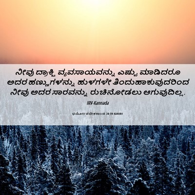 Picture 06 - ಧರ್ಮೋಪದೇಶಕಾಂಡ 28:39 KANIRV - ನೀವು ದ್ರಾಕ್ಷಿ - Bible Verse Picture