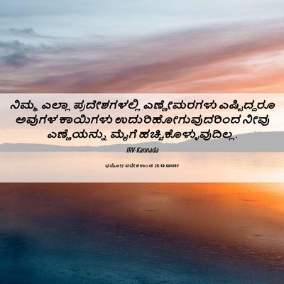 Picture 06 - ಧರ್ಮೋಪದೇಶಕಾಂಡ 28:40 KANIRV - ನಿಮ್ಮ ಎಲ್ಲಾ - Bible Verse Picture