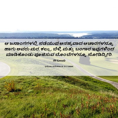 Picture 06 - ಧರ್ಮೋಪದೇಶಕಾಂಡ 29:17 KANIRV - ಆ ಜನಾಂಗಗಳಲ್ಲಿ - Bible Verse Picture
