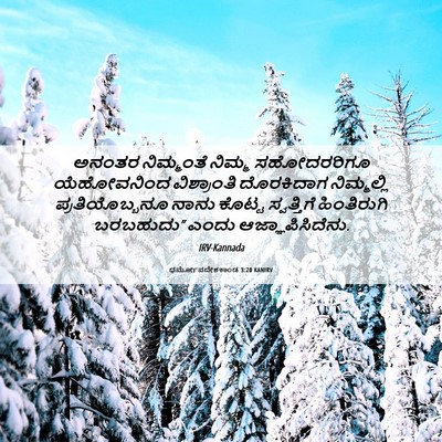 Picture 06 - ಧರ್ಮೋಪದೇಶಕಾಂಡ 3:20 KANIRV - ಅನಂತರ ನಿಮ್ಮಂತೆ - Bible Verse Picture