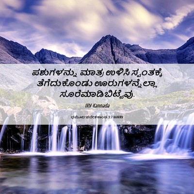 Picture 06 - ಧರ್ಮೋಪದೇಶಕಾಂಡ 3:7 KANIRV - ಪಶುಗಳನ್ನು ಮಾತ್ರ - Bible Verse Picture