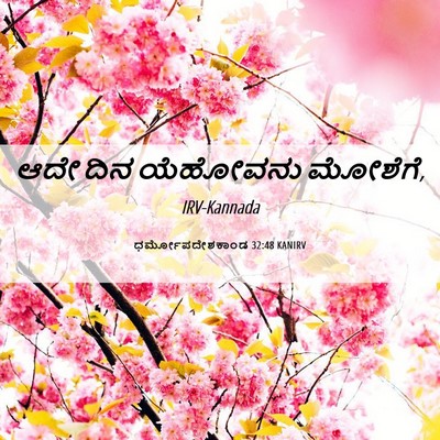 Picture 06 - ಧರ್ಮೋಪದೇಶಕಾಂಡ 32:48 KANIRV - ಆದೇ ದಿನ ಯೆಹೋವನು - Bible Verse Picture