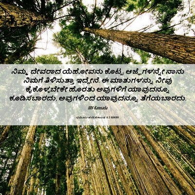 Picture 06 - ಧರ್ಮೋಪದೇಶಕಾಂಡ 4:2 KANIRV - ನಿಮ್ಮ ದೇವರಾದ - Bible Verse Picture