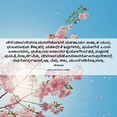 Picture 06 - ಧರ್ಮೋಪದೇಶಕಾಂಡ 4:34 KANIRV - ಬೇರೆ ಯಾವ ದೇವರೂ - Bible Verse Picture