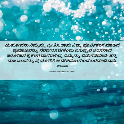 Picture 06 - ಧರ್ಮೋಪದೇಶಕಾಂಡ 7:8 KANIRV - ಯೆಹೋವನು ನಿಮ್ಮನ್ನು - Bible Verse Picture
