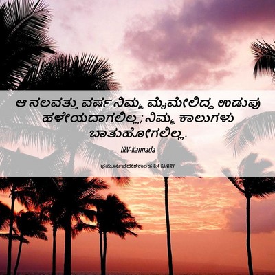Picture 06 - ಧರ್ಮೋಪದೇಶಕಾಂಡ 8:4 KANIRV - ಆ ನಲವತ್ತು ವರ್ಷ - Bible Verse Picture