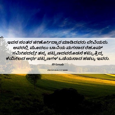 Picture 06 - ನೆಹೆಮೀಯನು 3:17 KANIRV - ಇವನ ನಂತರ - Bible Verse Picture