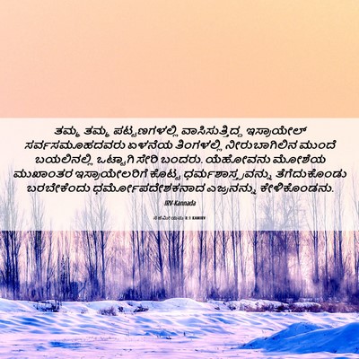 Picture 06 - ನೆಹೆಮೀಯನು 8:1 KANIRV - ತಮ್ಮ ತಮ್ಮ - Bible Verse Picture
