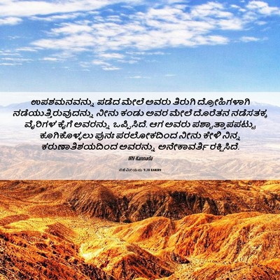 Picture 06 - ನೆಹೆಮೀಯನು 9:28 KANIRV - ಉಪಶಮನವನ್ನು ಪಡೆದ - Bible Verse Picture
