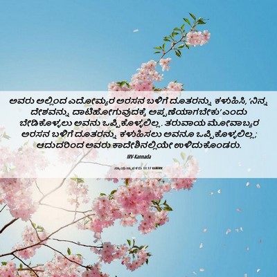 Picture 06 - ನ್ಯಾಯಸ್ಥಾಪಕರು 11:17 KANIRV - ಅವರು ಅಲ್ಲಿಂದ - Bible Verse Picture
