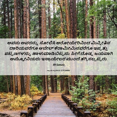 Picture 06 - ನ್ಯಾಯಸ್ಥಾಪಕರು 11:33 KANIRV - ಅವನು ಅವರನ್ನು - Bible Verse Picture