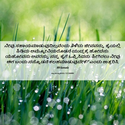 Picture 06 - ನ್ಯಾಯಸ್ಥಾಪಕರು 12:3 KANIRV - ನೀವು - Bible Verse Picture